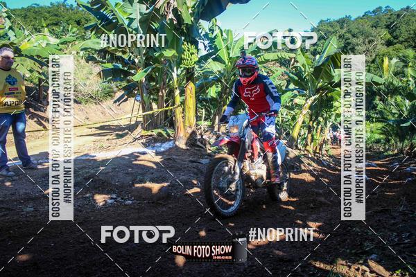 Buy your photos of the eventBANANALAMA  on Fotop