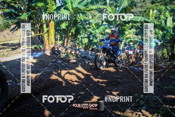 Buy your photos of the eventBANANALAMA  on Fotop