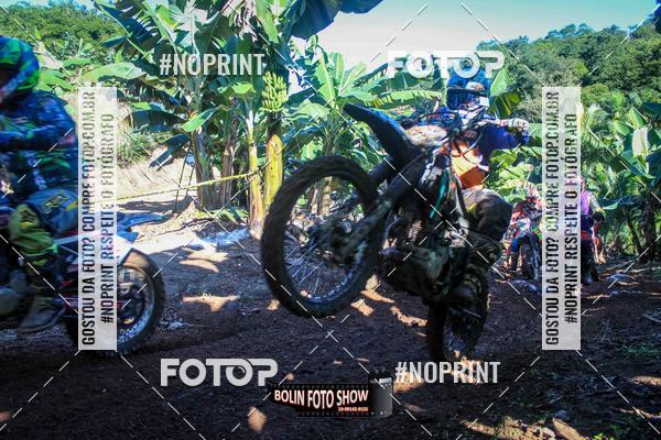 Buy your photos of the eventBANANALAMA  on Fotop