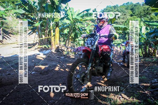 Buy your photos of the eventBANANALAMA  on Fotop