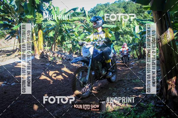 Buy your photos of the eventBANANALAMA  on Fotop