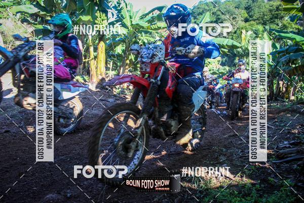 Buy your photos of the eventBANANALAMA  on Fotop