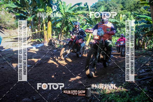 Buy your photos of the eventBANANALAMA  on Fotop