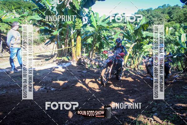 Buy your photos of the eventBANANALAMA  on Fotop