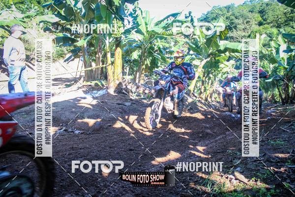 Buy your photos of the eventBANANALAMA  on Fotop