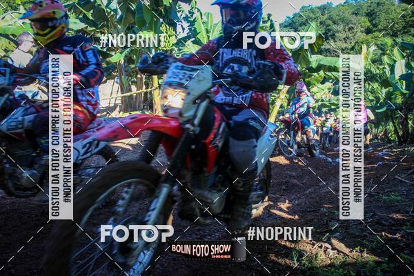 Buy your photos of the eventBANANALAMA  on Fotop