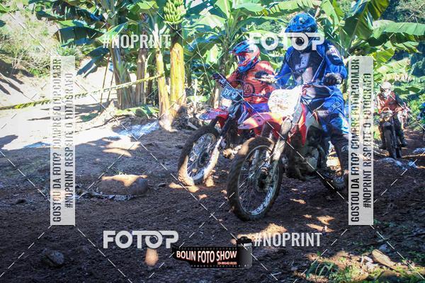 Buy your photos of the eventBANANALAMA  on Fotop