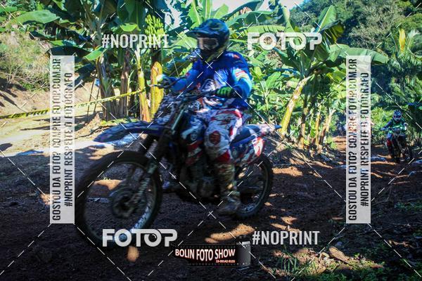 Buy your photos of the eventBANANALAMA  on Fotop