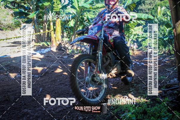 Buy your photos of the eventBANANALAMA  on Fotop