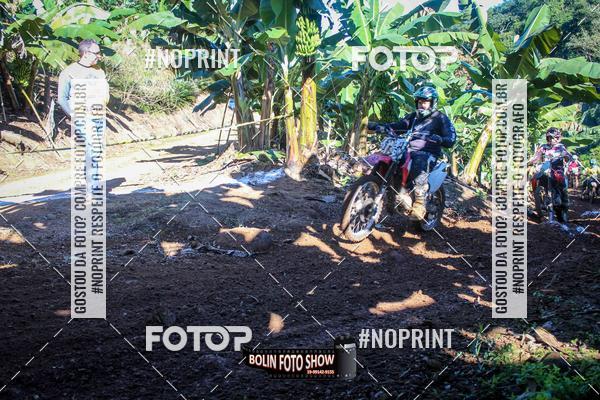 Buy your photos of the eventBANANALAMA  on Fotop