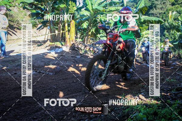 Buy your photos of the eventBANANALAMA  on Fotop