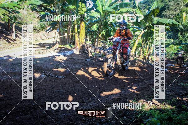 Buy your photos of the eventBANANALAMA  on Fotop