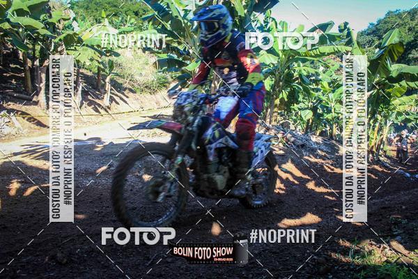 Buy your photos of the eventBANANALAMA  on Fotop