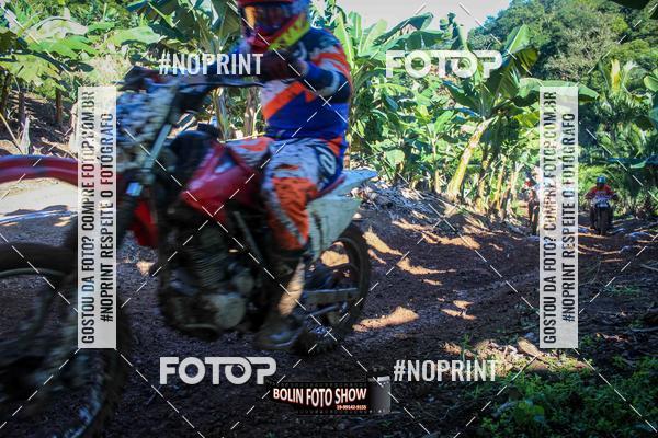 Buy your photos of the eventBANANALAMA  on Fotop