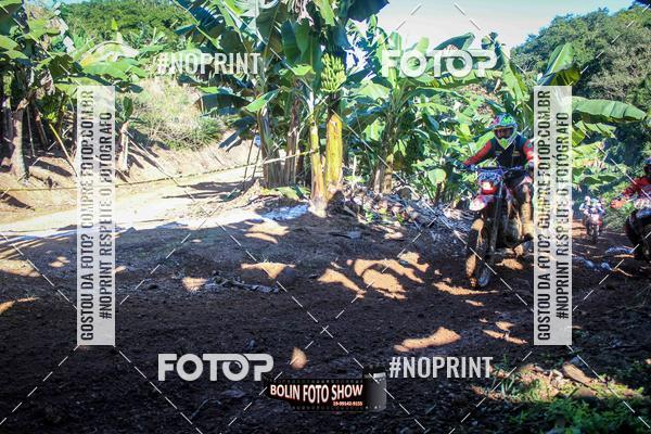 Buy your photos of the eventBANANALAMA  on Fotop