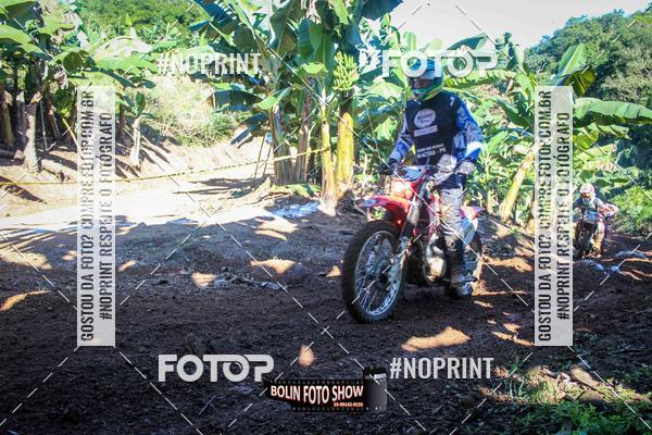 Buy your photos of the eventBANANALAMA  on Fotop