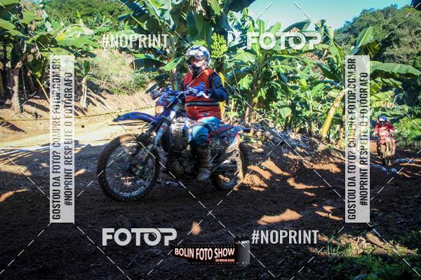 Buy your photos of the eventBANANALAMA  on Fotop