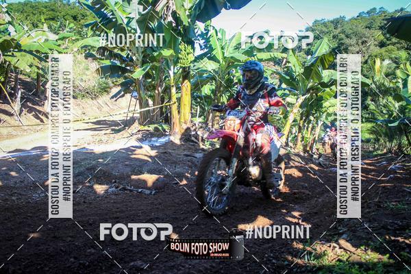 Buy your photos of the eventBANANALAMA  on Fotop