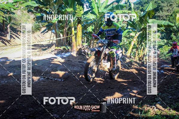 Buy your photos of the eventBANANALAMA  on Fotop