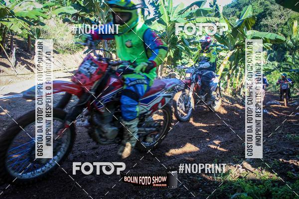 Buy your photos of the eventBANANALAMA  on Fotop