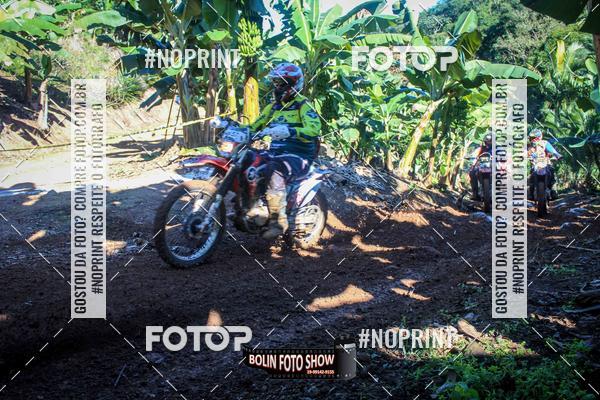 Buy your photos of the eventBANANALAMA  on Fotop