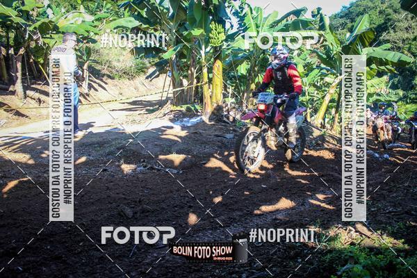 Buy your photos of the eventBANANALAMA  on Fotop