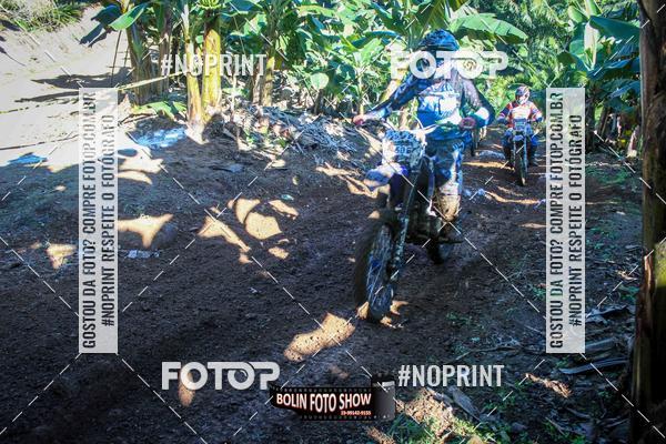 Buy your photos of the eventBANANALAMA  on Fotop