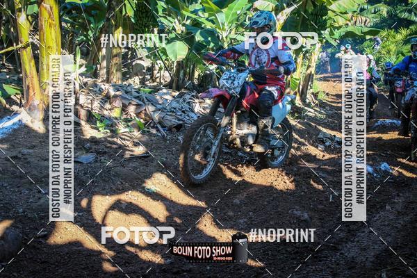 Buy your photos of the eventBANANALAMA  on Fotop