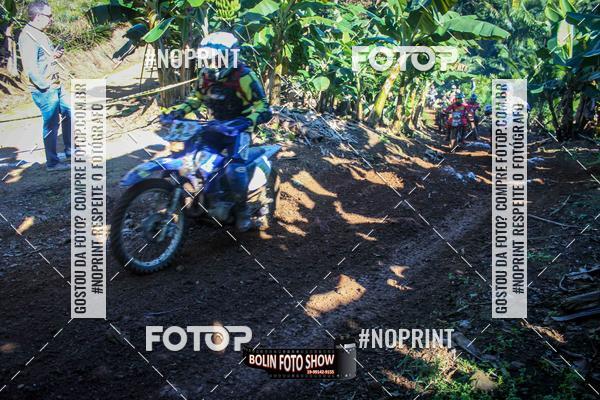 Buy your photos of the eventBANANALAMA  on Fotop