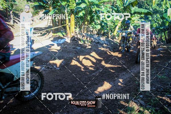 Buy your photos of the eventBANANALAMA  on Fotop