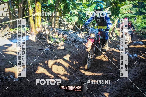 Buy your photos of the eventBANANALAMA  on Fotop