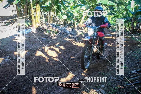 Buy your photos of the eventBANANALAMA  on Fotop