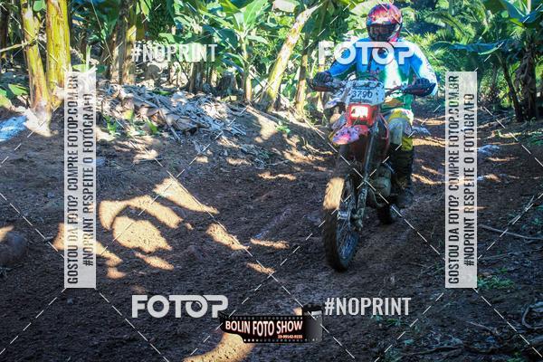 Buy your photos of the eventBANANALAMA  on Fotop