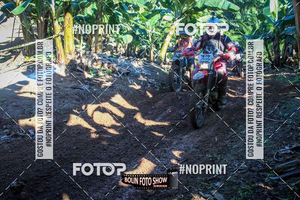 Buy your photos of the eventBANANALAMA  on Fotop