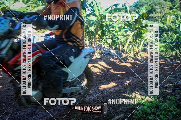 Buy your photos of the eventBANANALAMA  on Fotop