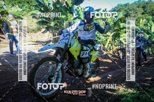 Buy your photos of the eventBANANALAMA  on Fotop