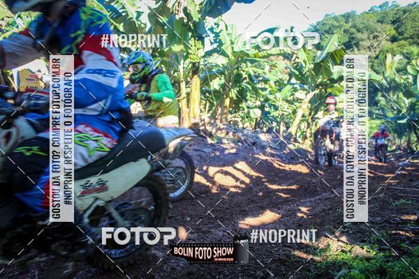 Buy your photos of the eventBANANALAMA  on Fotop