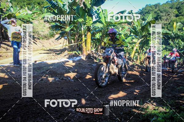 Buy your photos of the eventBANANALAMA  on Fotop