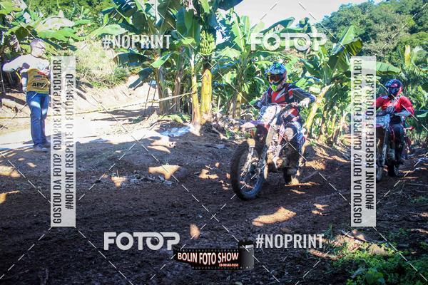 Buy your photos of the eventBANANALAMA  on Fotop