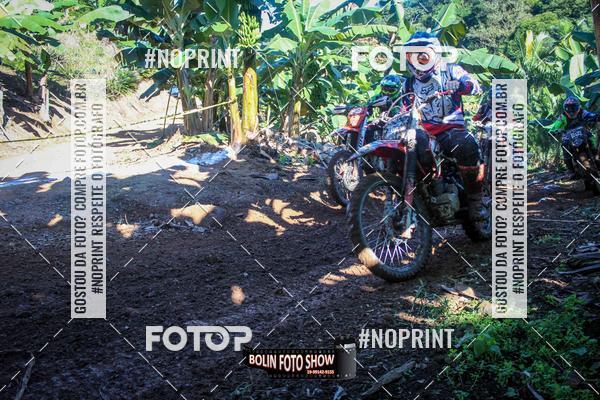 Buy your photos of the eventBANANALAMA  on Fotop