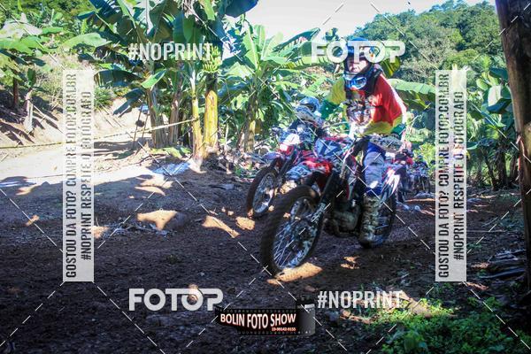 Buy your photos of the eventBANANALAMA  on Fotop