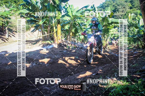 Buy your photos of the eventBANANALAMA  on Fotop