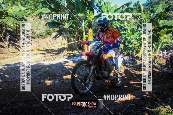 Buy your photos of the eventBANANALAMA  on Fotop