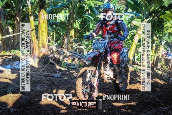 Buy your photos of the eventBANANALAMA  on Fotop