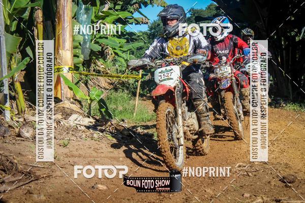 Buy your photos of the eventBANANALAMA  on Fotop