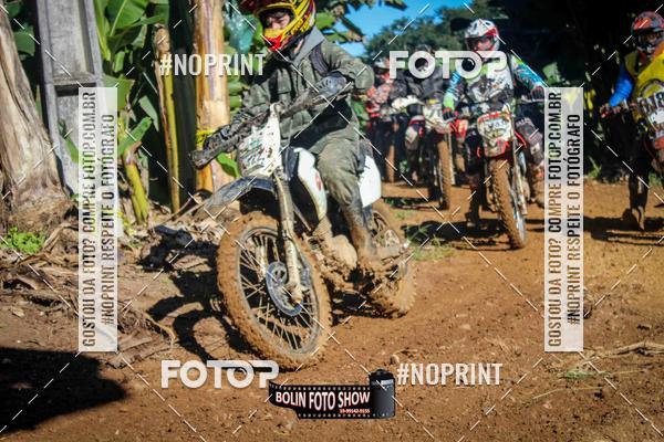 Buy your photos of the eventBANANALAMA  on Fotop