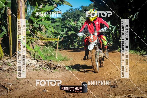 Buy your photos of the eventBANANALAMA  on Fotop