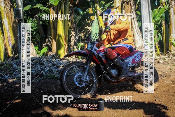 Buy your photos of the eventBANANALAMA  on Fotop