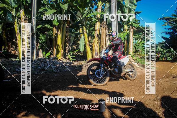 Buy your photos of the eventBANANALAMA  on Fotop