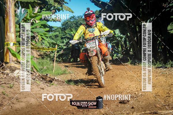 Buy your photos of the eventBANANALAMA  on Fotop